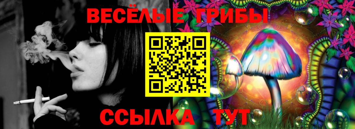 где купить наркотик  Галлюциногенные грибы GOLDEN TEACHER  Вход с VPN  Семилуки  Псилоцибиновые грибы прущие грибы 
